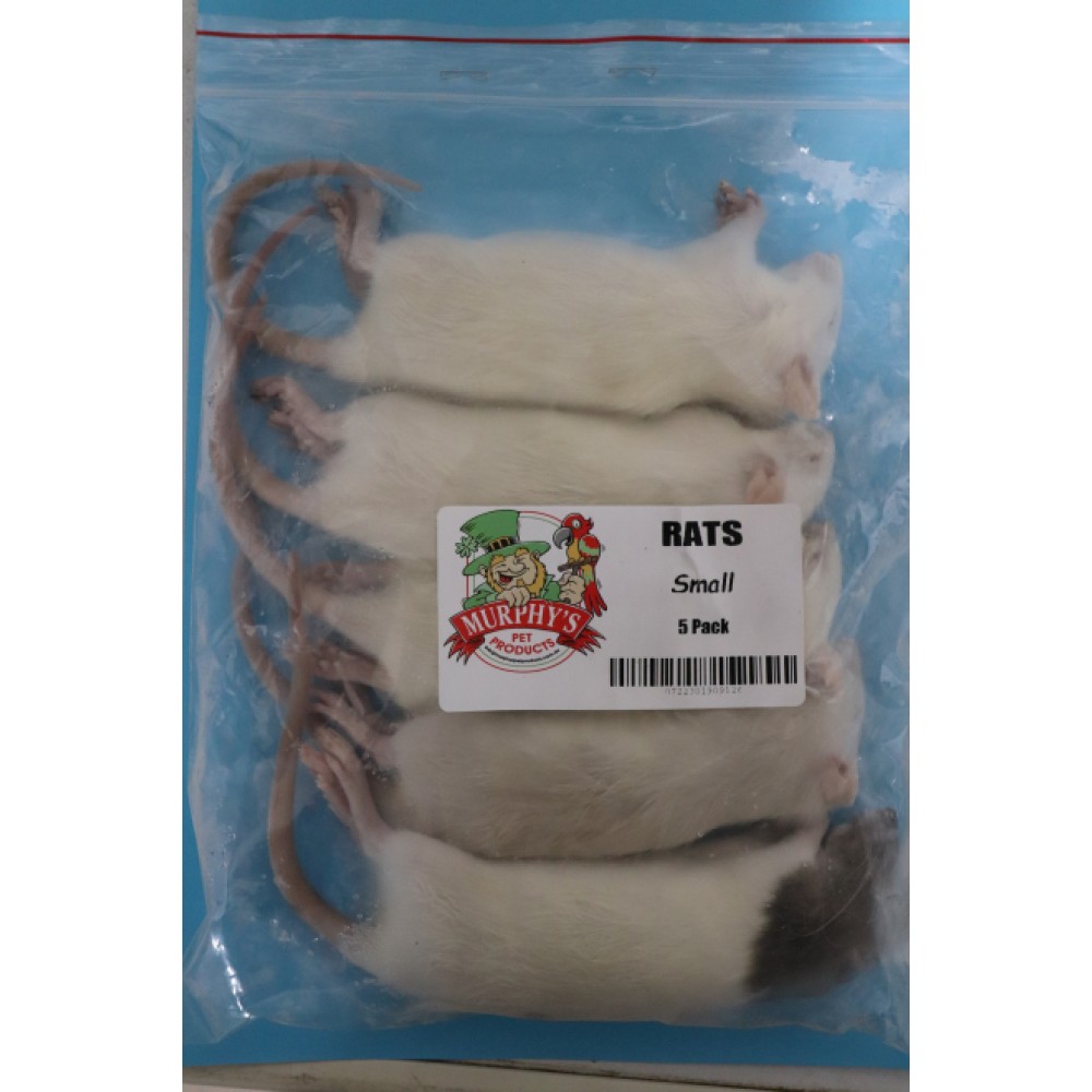 Frozen Rats